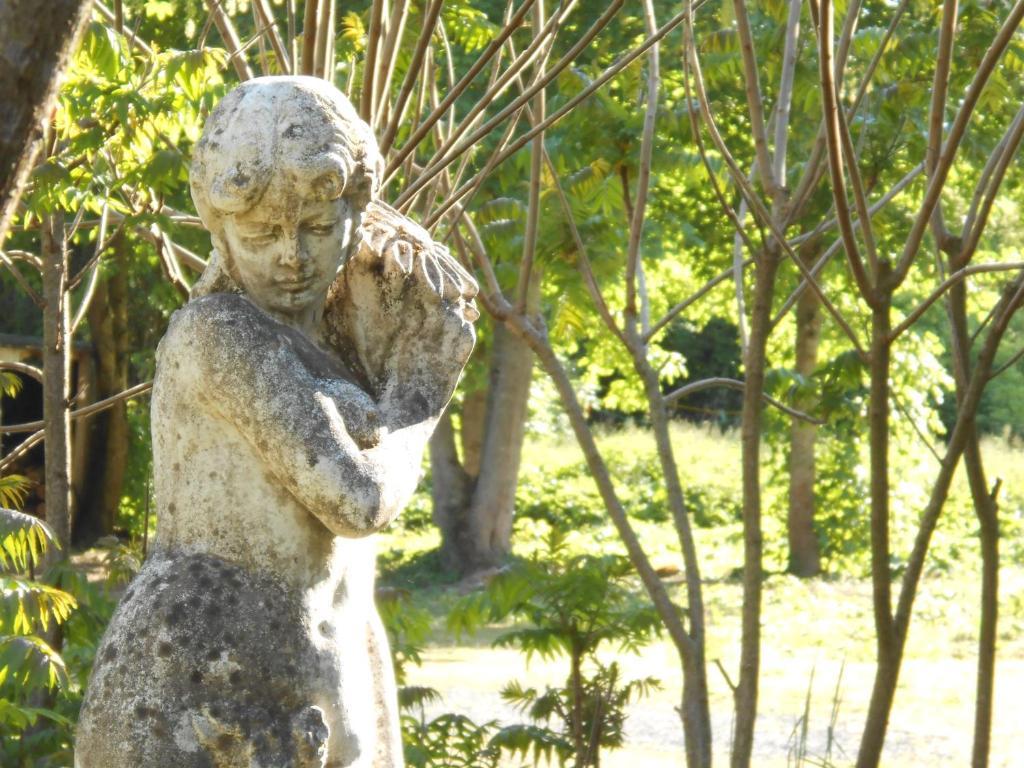 Clos Du Bois Brard B&B Saumur Buitenkant foto