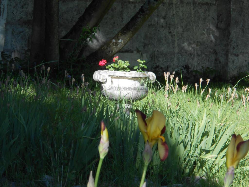 Clos Du Bois Brard B&B Saumur Buitenkant foto