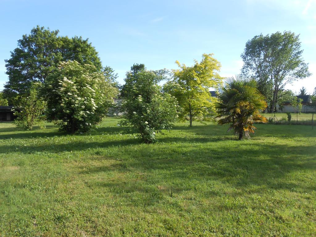 Clos Du Bois Brard B&B Saumur Buitenkant foto